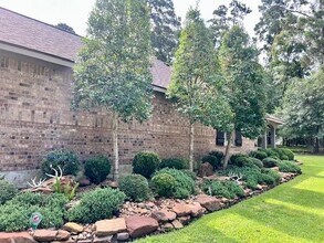 11239 Burning Tree Dr in Montgomery, TX - Building Photo - Building Photo