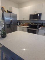 11741 SW 245 Ter in Homestead, FL - Building Photo