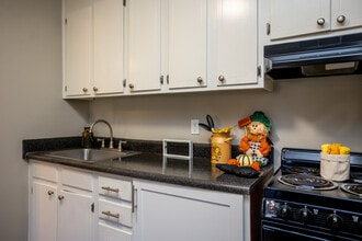 Davidson Apartment Homes in Concord, NC - Foto de edificio - Interior Photo