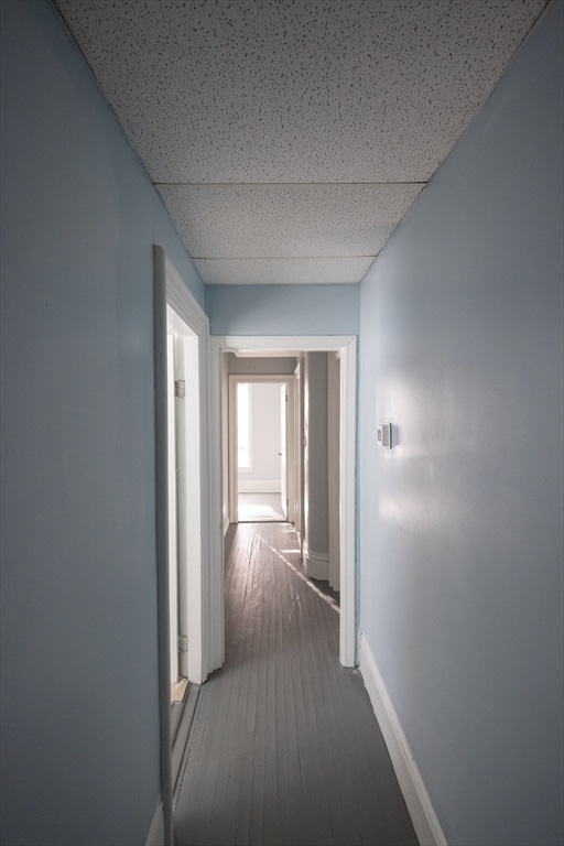 10 Sycamore St in Worcester, MA - Building Photo - Building Photo