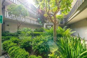29 Ocean Pines Ln in Pebble Beach, CA - Building Photo - Building Photo