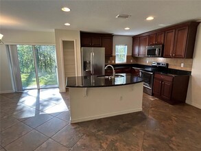 2802 Birchcreek Dr in Wesley Chapel, FL - Building Photo - Building Photo