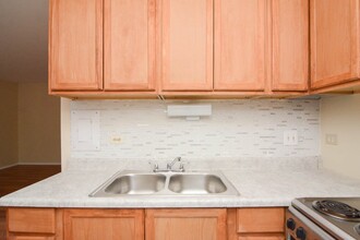 3825 N Pine Grove Ave in Chicago, IL - Building Photo - Building Photo