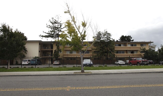 Surfside Palms Apartments in Alameda, CA - Building Photo - Building Photo