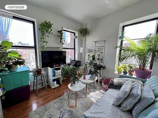 31 Oliver St