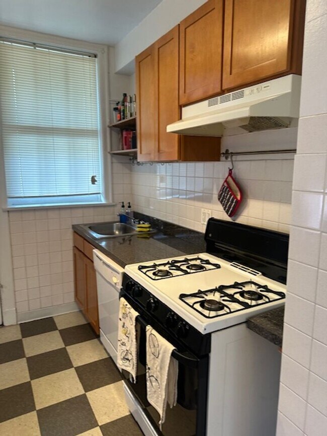 4881 N Paulina St in Chicago, IL - Building Photo - Building Photo