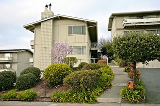 Palmetto at Tiburon View in Tiburon, CA - Building Photo - Building Photo