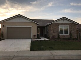 4239 Silver Lupine Ln in Rocklin, CA - Building Photo