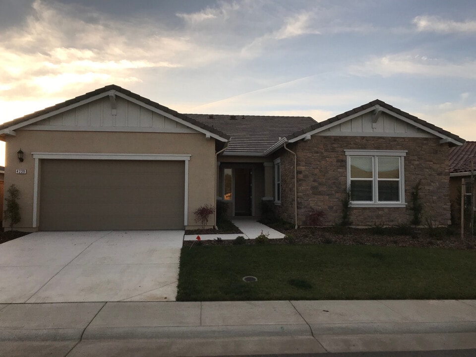 4239 Silver Lupine Ln in Rocklin, CA - Building Photo