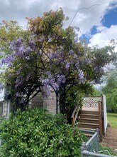 15110 204th Ave SE in Renton, WA - Building Photo - Building Photo