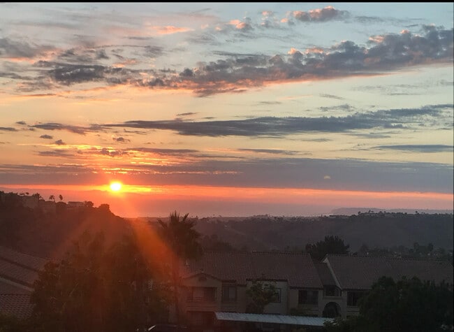 property at 703 Via Presa