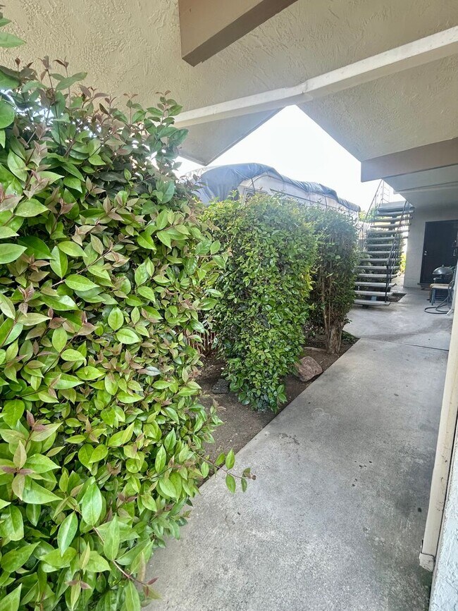 1566 167th Ave in San Leandro, CA - Building Photo - Building Photo