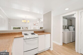 5107 MacArthur Blvd NW in Washington, DC - Building Photo - Building Photo