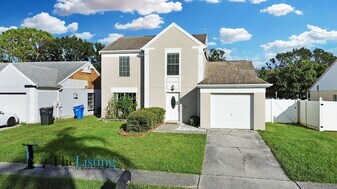 11007 Summer Dr in Tampa, FL - Building Photo