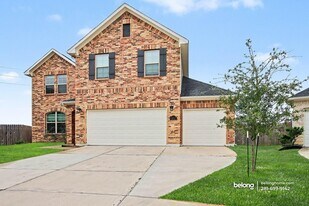 8114 Royal Palm Ct in Fulshear, TX - Building Photo