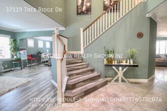 37119 Tree Ridge Dr in Murrieta, CA - Building Photo - Building Photo