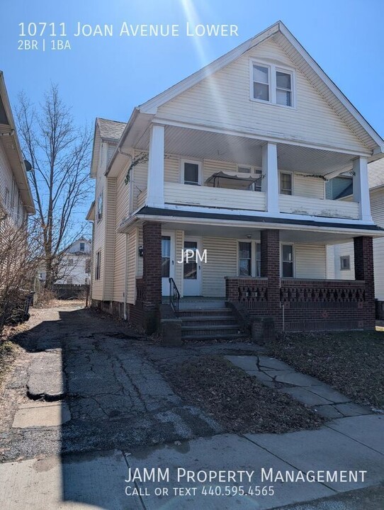 10711 Joan Ave in Cleveland, OH - Building Photo