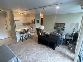 30 E Elm St, Unit 4F in Chicago, IL - Building Photo