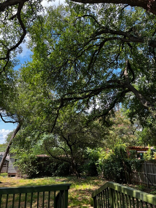 property at 2605 W 49th St