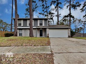 25515 Mill Pond Ln in Spring, TX - Building Photo