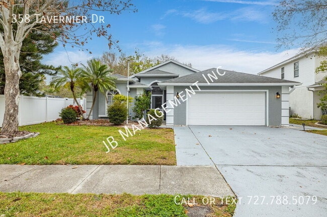 358 Tavernier Dr in Oldsmar, FL - Building Photo - Building Photo