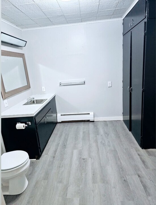 207 W Holly St, Unit Apt B Downstairs Unit in Owatonna, MN - Foto de edificio