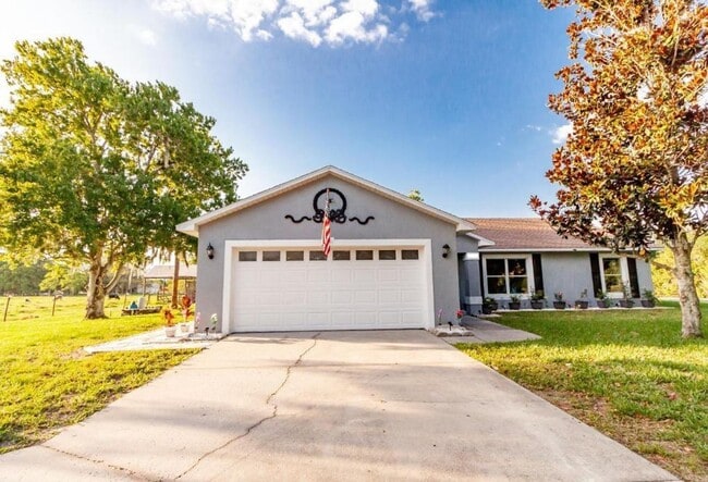 property at 3131 Spikey Way