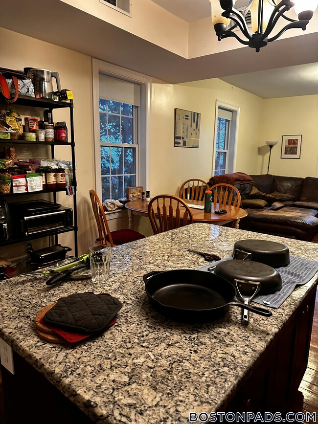 107 Fisher Ave in Boston, MA - Building Photo - Building Photo