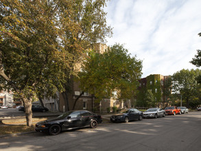 Maple 112-116 1/2 in Oak Park, IL - Foto de edificio - Building Photo