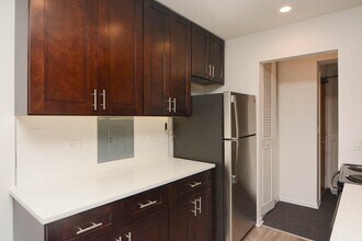 520 Aldine in Chicago, IL - Building Photo - Building Photo