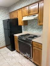 187 Clubhouse Dr in Branson, MO - Building Photo - Building Photo