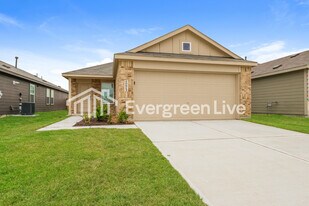 10813 Bird Of Paradise Ln in Houston, TX - Building Photo