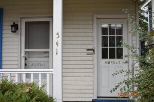 541 Elizabeth St in Ann Arbor, MI - Building Photo