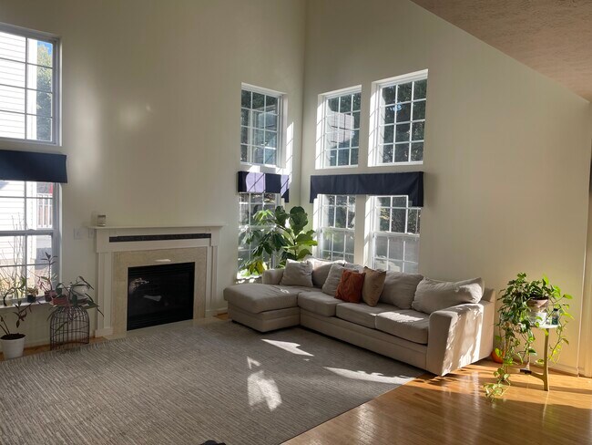 property at 12407 Diploma Dr