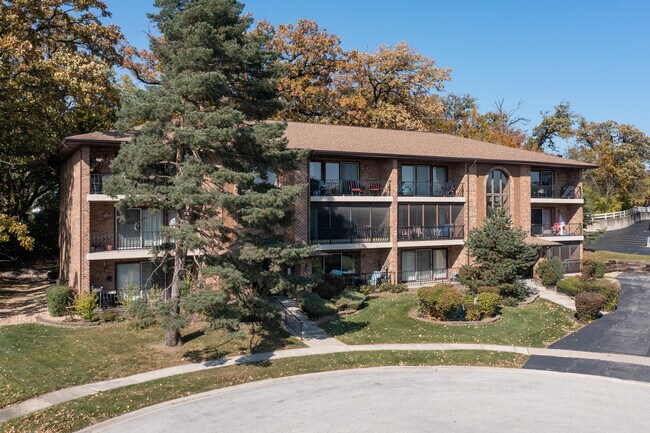 9744-9750 Ravinia Ln in Orland Park, IL - Building Photo - Building Photo