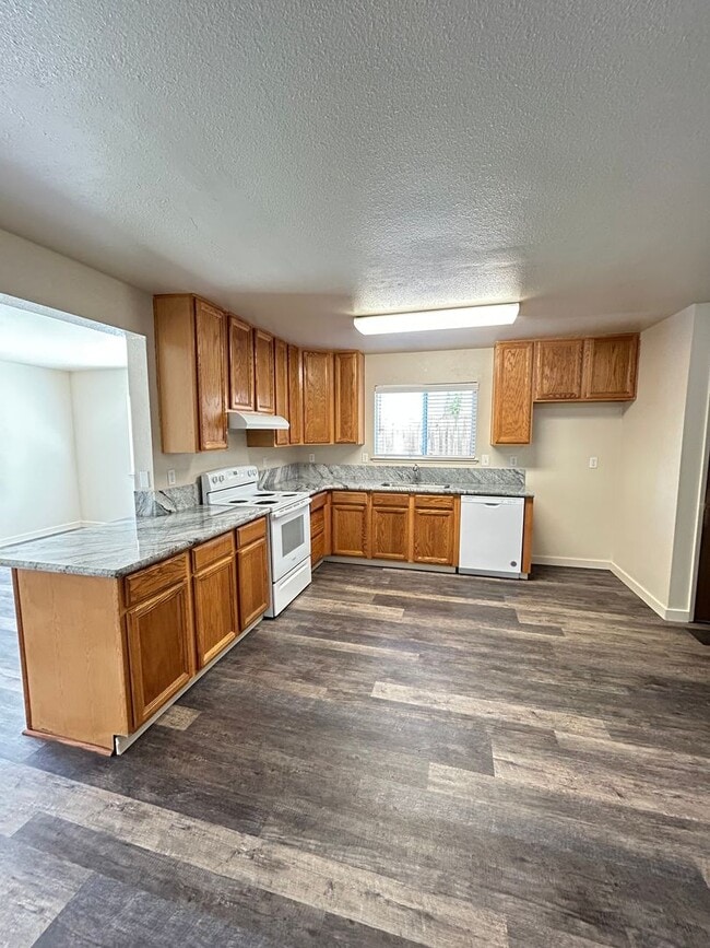 1041 Plum Ct in Hollister, CA - Building Photo - Building Photo