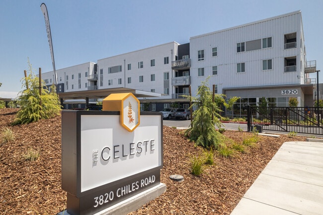 The Celeste
