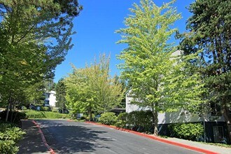 Trailside in Bothell, WA - Building Photo - Building Photo