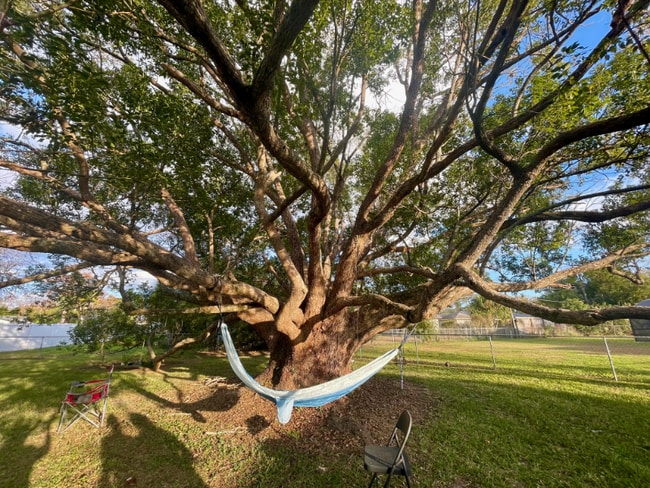 950 Hedgewood Ct in Winter Park, FL - Building Photo - Building Photo