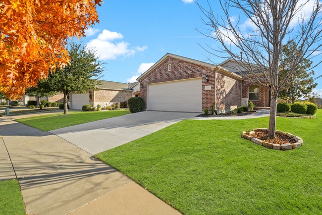 245 Mariposa Ln in Frisco, TX - Building Photo - Building Photo