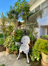 937 Coolidge St-Unit -A in Honolulu, HI - Building Photo - Building Photo