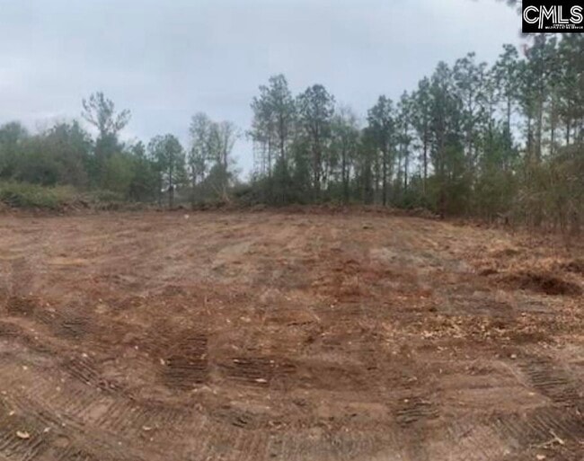 1257B-1 Old Orangeburg Rd in Lexington, SC - Building Photo - Building Photo