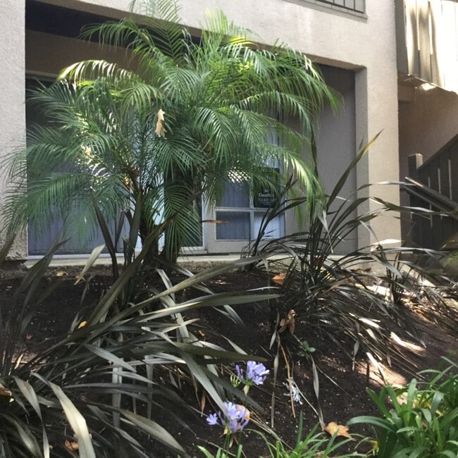 151 W Glaucus St in Encinitas, CA - Foto de edificio - Building Photo