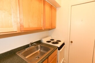 541 W Arlington Pl in Chicago, IL - Foto de edificio - Building Photo