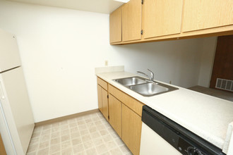 Alpine Lake Apartments in Jackson, MI - Building Photo - Interior Photo