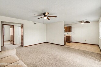 1123 Tree Ridge Ln NE in Palm Bay, FL - Foto de edificio - Building Photo