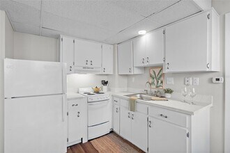 411 1st Ave N in St. Petersburg, FL - Building Photo - Building Photo