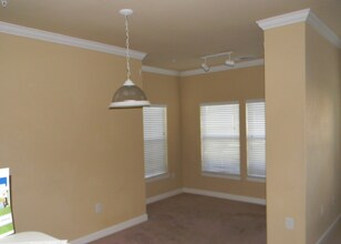 18155 Bridle Club Dr in Tampa, FL - Foto de edificio - Building Photo