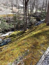 4680 Conleys Creek Rd in Whittier, NC - Building Photo - Building Photo