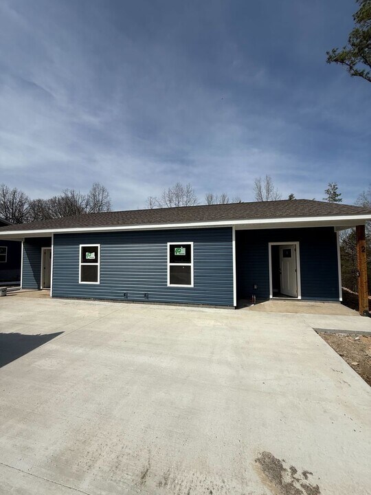 30 Patton Ct in Gassville, AR - Building Photo